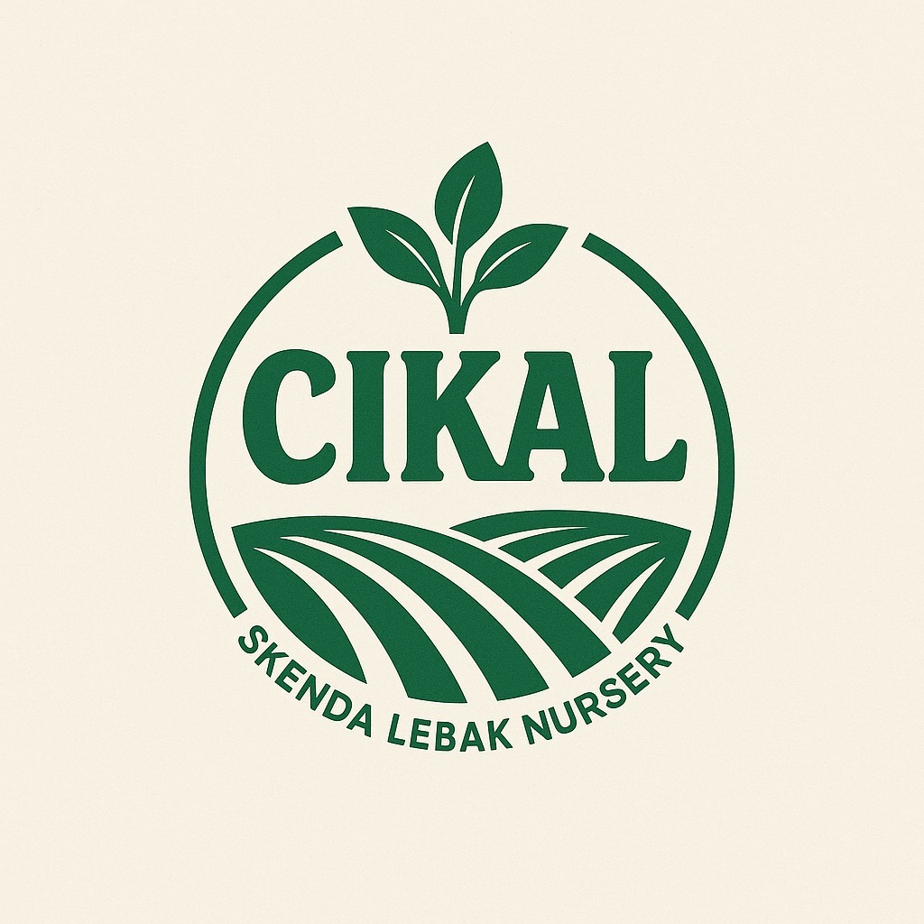 CIKAL Skenda Lebak Nursery